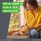 Frontline Plus for Cats & Kittens | Flea & Tick Spot-On Prevention | 6 Month Supply, 6 Treatments