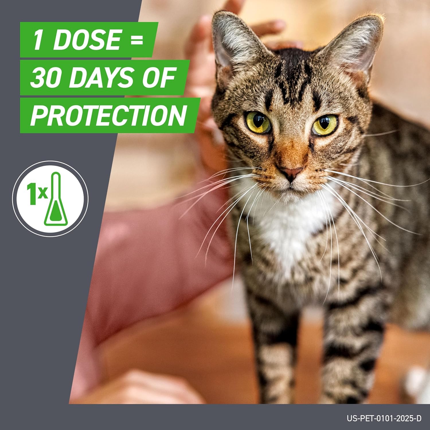 Frontline Plus for Cats & Kittens | Flea & Tick Spot-On Prevention | 6 Month Supply, 6 Treatments
